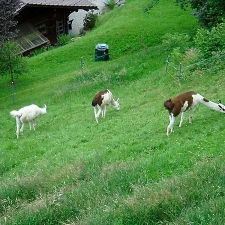 Seeblick Mit Anbindung An Ein 4-sterne-hotel Otel 2*